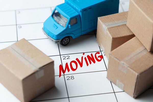 Local Moving – Hire Top Movers and Packers Company in Palm Jumeirah